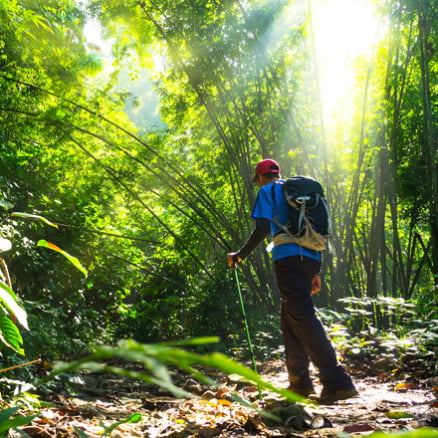 Amazon Trekking