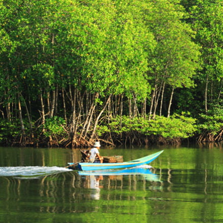 Tumbes “Forests and Mangrove Swamp”